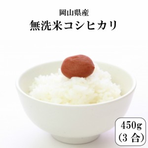 新米 米 450g こめ 無洗米 ポイント消化  お試し 令和5年産 岡山県産コシヒカリ無洗米450g(3合)  メール便