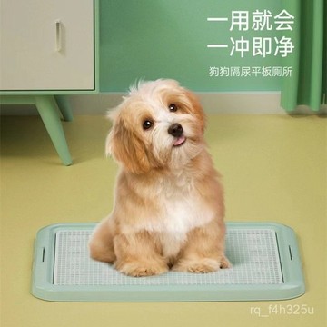 [24時熱賣]寵物厠所 貓砂盆M-pets狗廁所小型犬小狗不溼腳防踩屎狗狗廁所大型犬大號闆廁所盆 KTBI