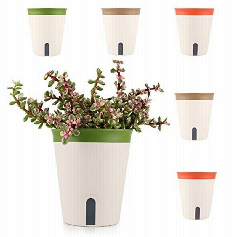 T4u 植木鉢 底面給水鉢 プラスチック プランター 自動給水 観葉植物鉢 ハーブ鉢 丸型 室内栽培向け 直径17cm 6点セット 通販 Lineポイント最大0 5 Get Lineショッピング