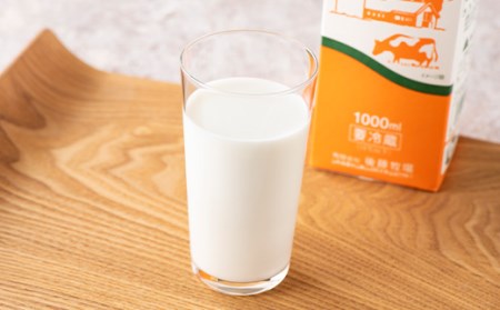 山形県産 やまべ牛乳セット (牛乳 1L×3・コーヒー牛乳 900ml×1) ×3回 F21A-323