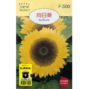花田綠地種子-向日葵