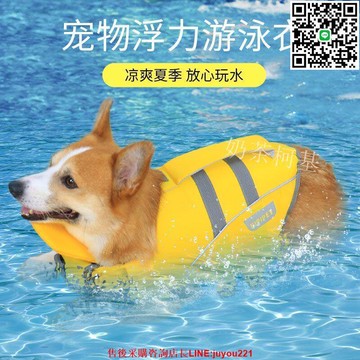 寵物狗狗泳衣救生衣游泳衣玩水衣服用品柯基泰迪比熊戶外夏季夏天
