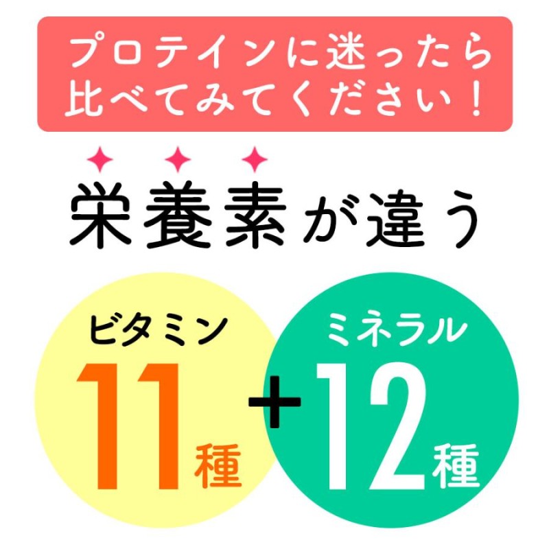 ソイプロテイン 1kg 人工甘味料不使用 味が選べる スプーン付