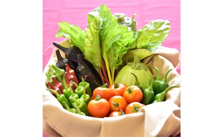 和らぎ農法　わっさんの食いしん坊野菜　栗東市産　旬の野菜便