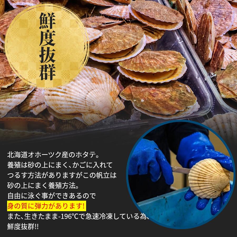 冷凍ホタテ ほたて 貝柱 北海道産 1kg 生冷 国産 大粒 刺身 お祝い 送料無料 御歳暮 ギフト 正規品 帆立 お正月 お取り寄せ お取り寄せグルメ クール便