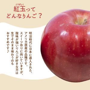 ふるさと納税  りんご 10kg 紅玉 アップルパイ に最適 青森 不揃い 青森県五所川原市