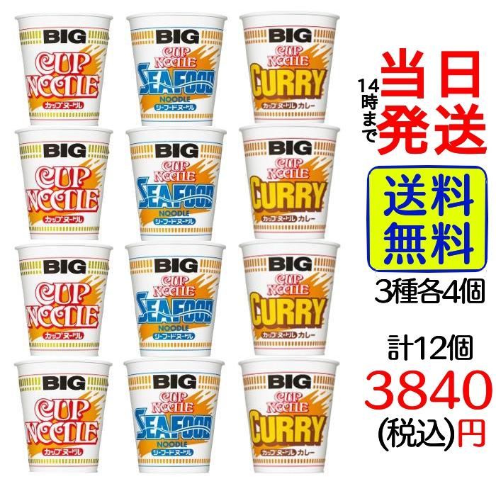 日清食品 カップヌードル BIG 3種12食 詰合せセット