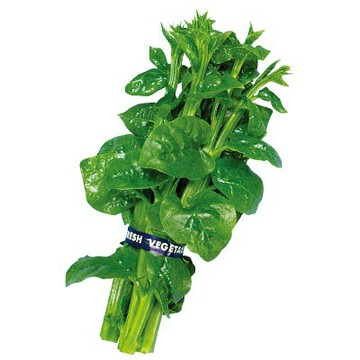 【拈花微笑】皇宮菜｜種子｜4g 非基因改造種子｜蔬菜｜蔬果｜有機無毒｜高發芽率