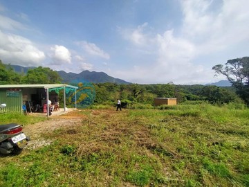 淡水區蕃薯段產業道路旁整筆農地全部｜新北市淡水區蕃薯段