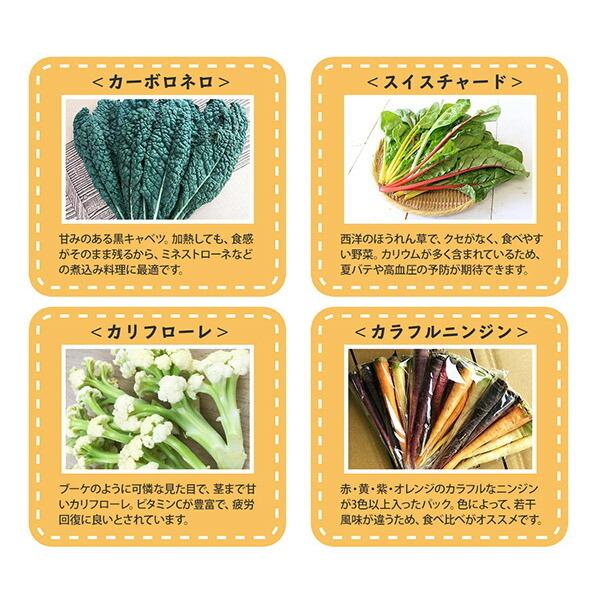 冬ギフト ヨーロッパ野菜 詰め合わせ スタンダード セット 6-8品目 珍しい 野菜 set プレゼント お取り寄せ