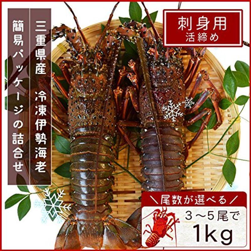 三重県産 伊勢海老 詰合せ ３尾で約１ｋｇ 刺身用 瞬間 冷凍 伊勢エビ