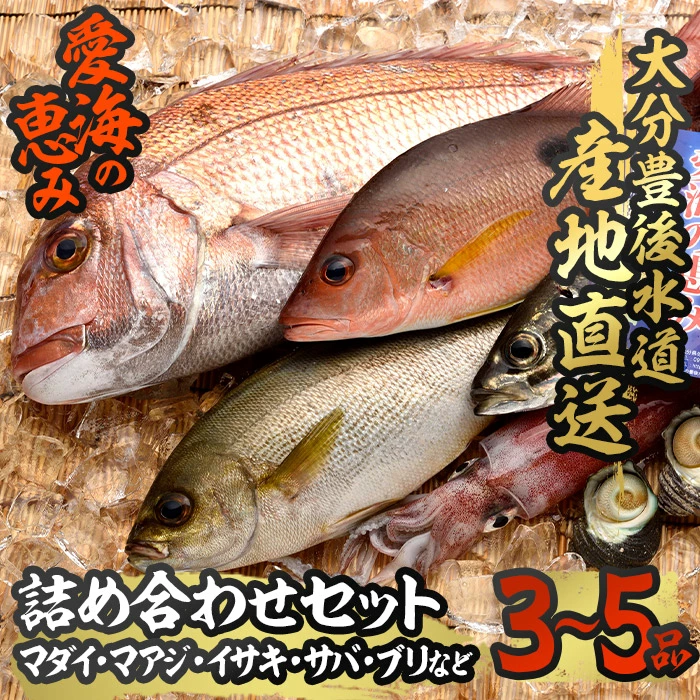 天然 鮮魚詰め合わせ (合計約2.8-3.2kg・3種以上) 直送 産直 漁師 魚 鮮魚 天然 マダイ 鯛 マアジ 鯵 イサキ サバ 鯖 ブリ 鰤 獲れたて 刺身 煮つけ 塩焼き 冷蔵 豊後水道 鮮魚