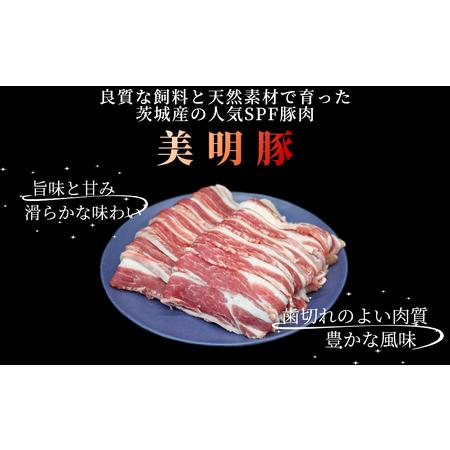 ふるさと納税 「美明豚」 豚バラスライス 1.4kg 茨城県共通返礼品 ・ 行方市産 ブランド豚 銘柄豚 美明豚 豚 豚肉 肉 豚バラ ぶたばら スラ.. 茨城県大洗町