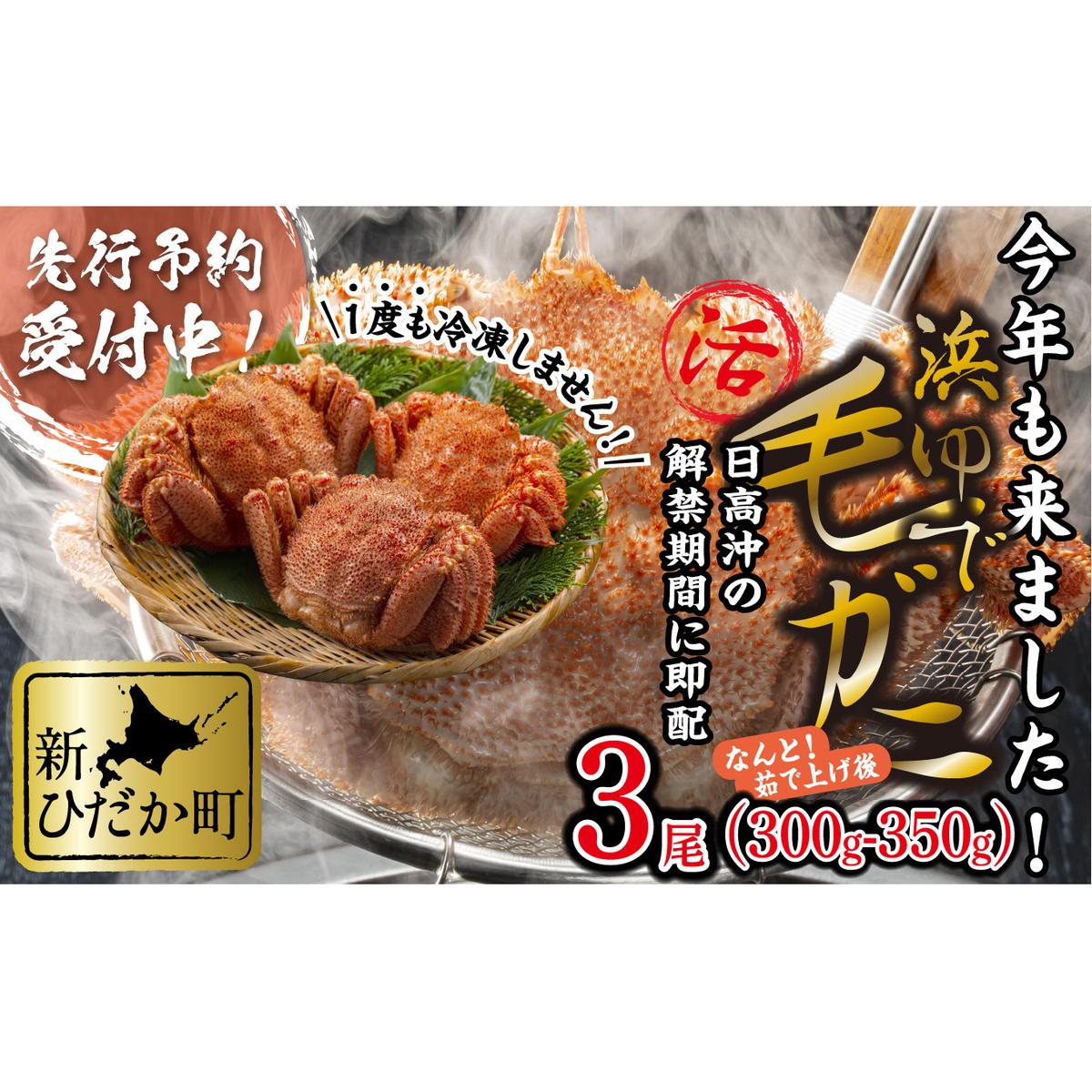 ＜2024年1月から順次発送＞ 北海道産 かに 浜ゆで 毛がに 3尾 計 900g 以上 ＜予約商品 ＞ 毛蟹 毛ガニ 北海道 冷蔵 毛蟹 毛ガニ けがに かに 蟹 カニ かに味噌 カニ味噌 新鮮 旬