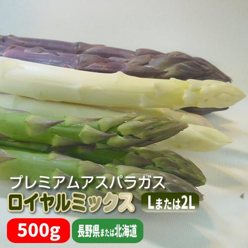 プレミアムアスパラ ロイヤルミックス こだわりアスパラガスの食べ比べセット ５００ｇ以上 厳選 １１〜１３本 長野県産