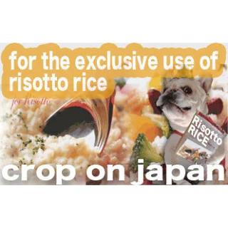 国産 リゾット専用 玄米5kg  超巨大なお米！！ brawn rice