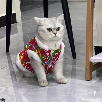 【限時特賣】寵物衣服  寵物搞怪衣服 貓咪衣服秋冬東北大花唐裝加絨加厚保暖藍貓布偶英短狗狗寵物衣服