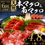 天然本マグロ　天然南マグロ　中トロ　各２柵　奇数月にお届け