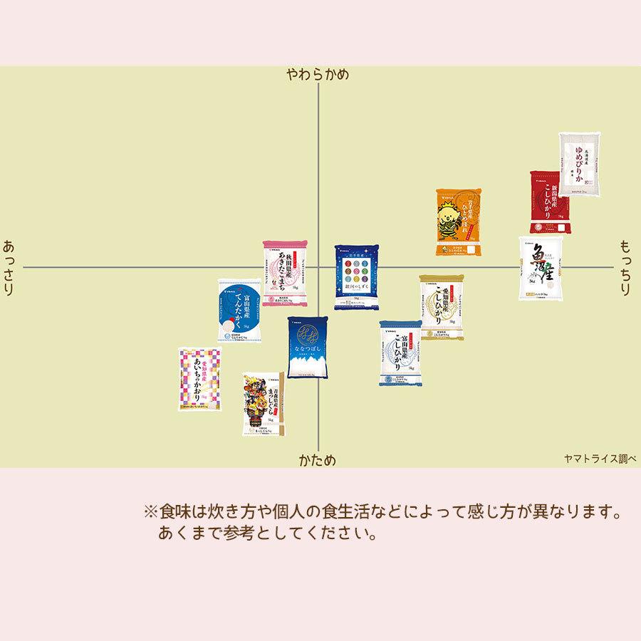 ヤマトライス 無洗米 北海道産 ななつぼし 5kg 令和4年産