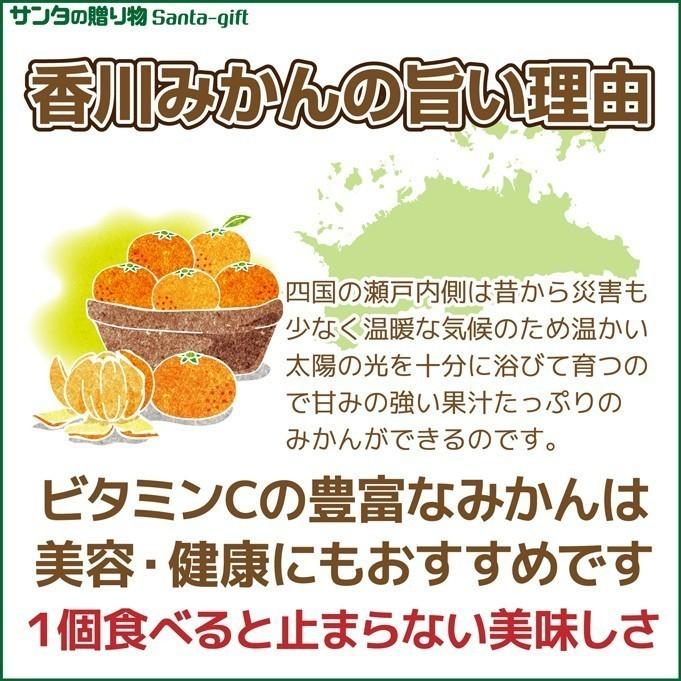 みかん 小さな2Sサイズ 送料無料 送料無料 1.5kg 香川県産 果物 旬 フルーツ 柑橘 3日営業日以内に発送