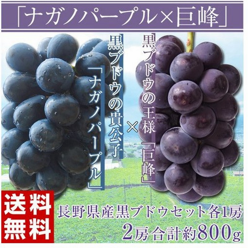 ブドウ 長野県特別セット ナガノパープル 種なし巨峰 各1房 2房合計約800g 常温 送料無料 Frt 通販 Lineポイント最大0 5 Get Lineショッピング