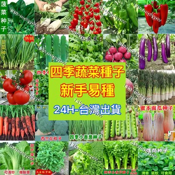 現貨【蔬菜種子大全】（100粒） 四季蔬菜種子 雞毛菜 番茄 南瓜上海青 艾草 茄子 苦瓜 盆栽蔬菜 小白可種 好管理