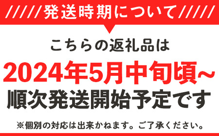 12-17茨城県産タカミメロン1個（1kg以上）