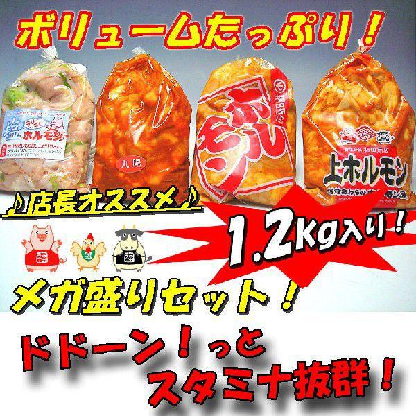 人気ホルモン4種盛りセット1.2kg入り 送料無料  お歳暮 父の日 バーベキュー 焼肉 Ｂ級グルメ 肉の日 お花見にも 牛ホルモン 豚ホルモン