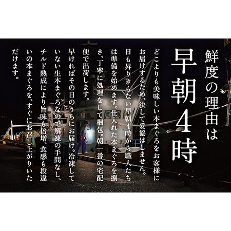 ふるさと納税 絶品！生本マグロ 赤身 250g（柵どり） 福井県越前市