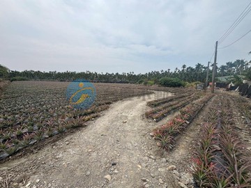 急售!!出價就談!!屏東長治超便宜農地｜屏東縣長治鄉協華段