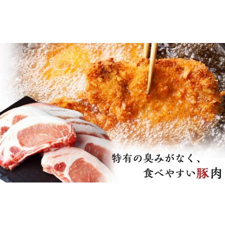 ふるさと納税 北海道産　豚ロースとんかつ・すき焼きセット1.4kg＜肉の山本＞ 北海道千歳市