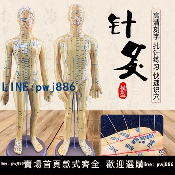 【便宜有好貨】針灸穴位圖人體模型可扎針全身十二經絡刻字教學美容模特中醫培訓