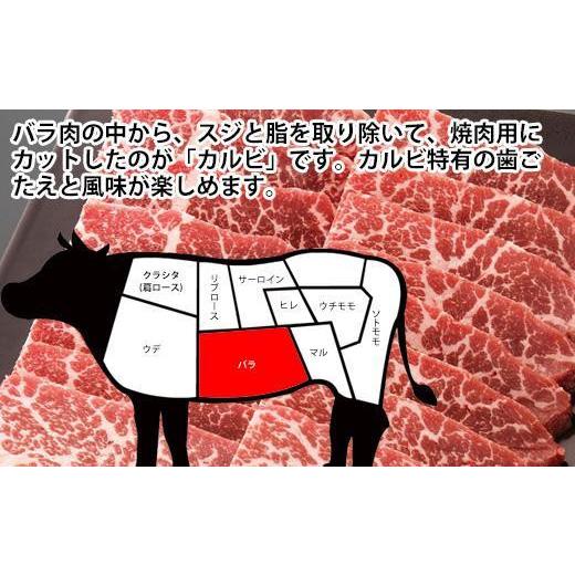 ふるさと納税 高知県 高知市 土佐和牛上カルビ焼肉500g BBQ 牛肉 バーベキュー 高知県産