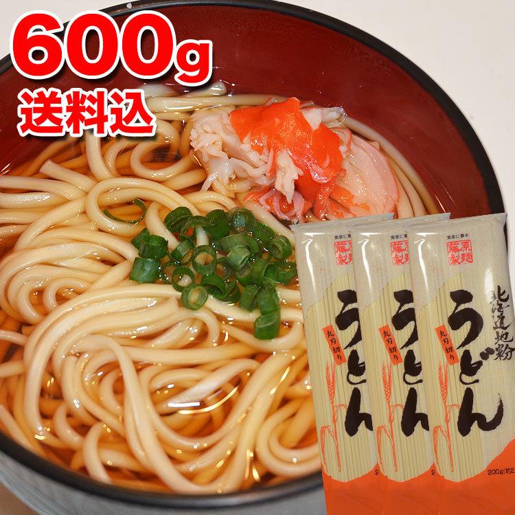 メール便 うどん 600g(200g×3個) 乾燥麺 ポイント消化 後払不可 注文後銀行振込前払へ自動変更 お届け日時指定選択無効 のしギフト不可 コンビニ決済不可