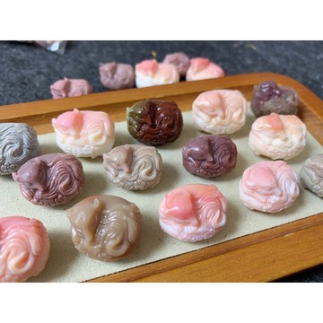 九尾狐 睡狐 阿拉善 女王貝 精料 精工