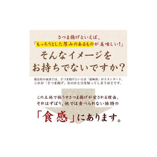 ふるさと納税 徳島県 小松島市 定期便 3回 練り物 食べ比べ セット 5種 20枚入り 徳島風 さつま揚げ おつまみ おかず おやつ 個包装 小分け