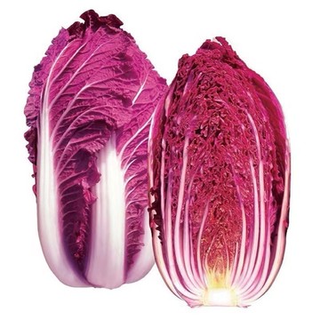 黃金娃娃菜種子 黃心迷你小白菜 快炒火鍋必備 四季可播 陽台盆栽 有機栽種 家庭菜園 新手友善 台灣現貨 清脆鮮甜