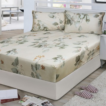 FiTNESS 費尼斯 60支100%純天絲床包枕套3件組 - 雅桐綠 床墊32公分以下可包覆  48 x 75cm