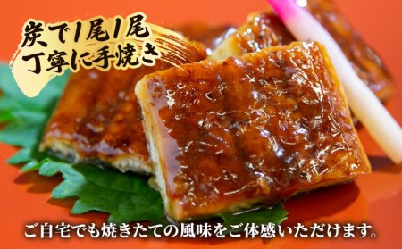 国産うなぎ 蒲焼き 12尾鰻 ウナギ[HBV004]