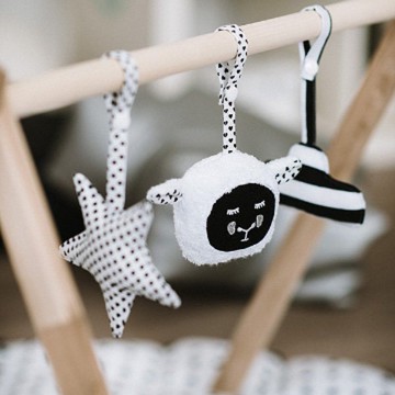 Baby Sheep Toys - 柔軟毛絨滲水嬰兒遊戲健身玩具