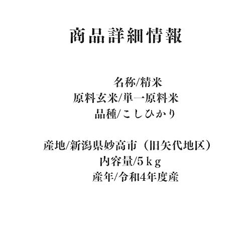 令和5年度産新米！新潟こしひかり 矢代米(やしろまい) 精米 ５ｋｇ (1袋)