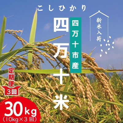 四万十産 四万十米コシヒカリ10kg(5kg×2袋)×3回(計30kg