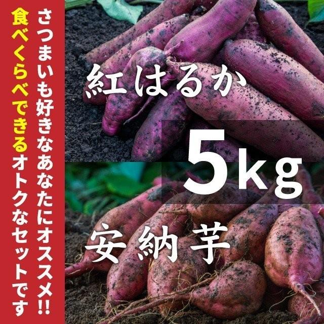 さつまいも 紅はるか  安納芋 5kg 食べくらべセット 土付き 大小サイズ混在 鹿児島県産 さつま芋