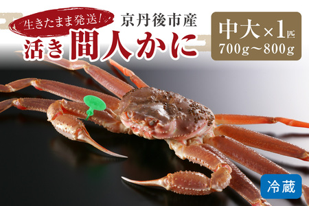 最高鮮度の生きたまま発送！京丹後市産活間人かに　700g～800g中大サイズ 北畿水産