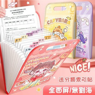 現貨  考卷收納  卡皮巴拉 風琴夾 考卷夾 國小考卷夾 國小資料夾 小學考卷夾 小學資料夾 小學收納 文件夾 收納夾