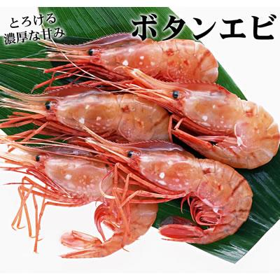 エビ 刺身 ボタンエビ 1kg ぼたんえび お刺身 冷凍 海老 お取り寄せ グルメ ギフト 北海道 送料無料 誕生日祝 御祝 御礼 内祝