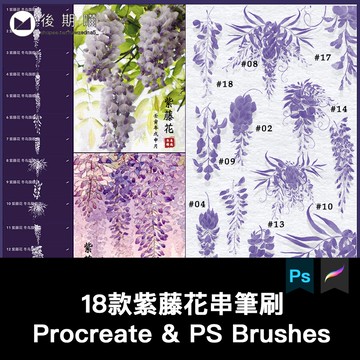 紫藤花procreate筆刷ps筆刷水彩水墨風藤蔓花藤花卉鮮花植物手繪
