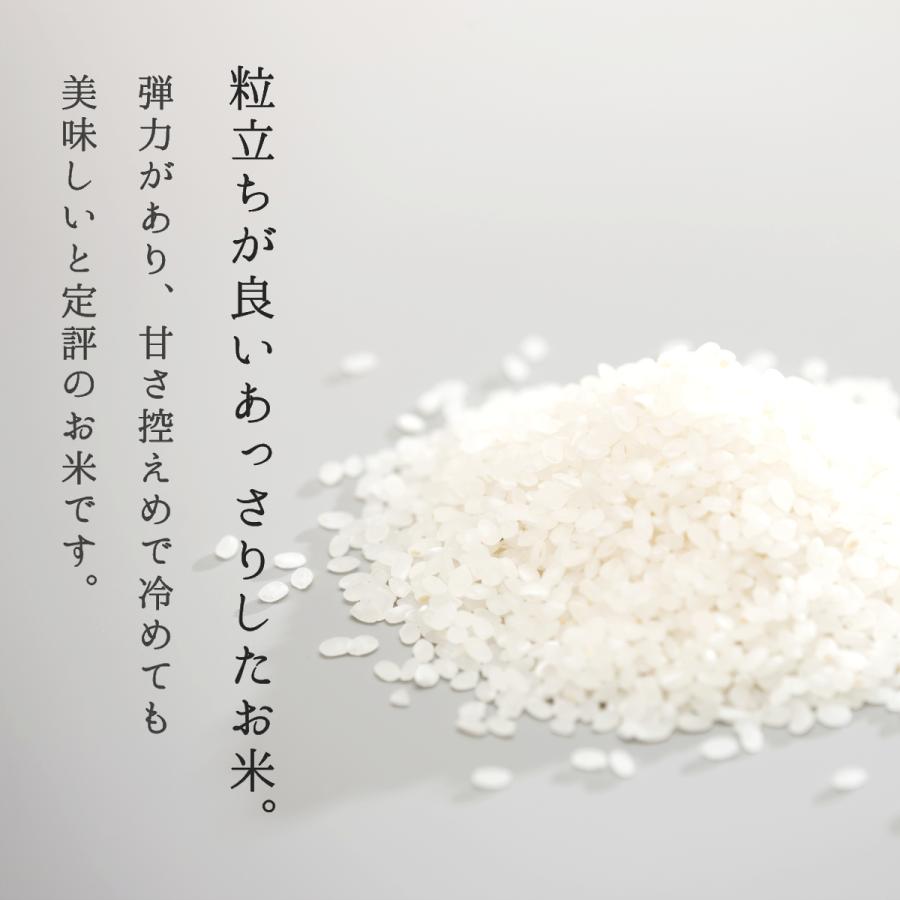 米 10kg はえぬき お米 令和5年 新米 白米 玄米 山形県産 送料無料 5kg×2袋 一等米