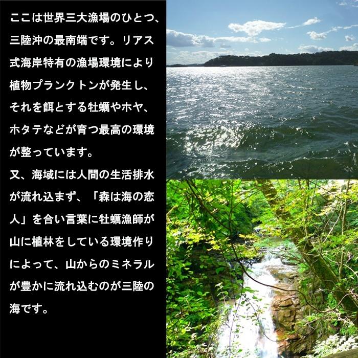 生食 OK カキ みちのく三陸産 殻付き生牡蠣 2kg 今季初出し 希少 ワケあり 亜鉛の摂取源No.1 新鮮 石巻 宮城 産地直送 ミネラル アミノ酸 タウリン セール 海鮮