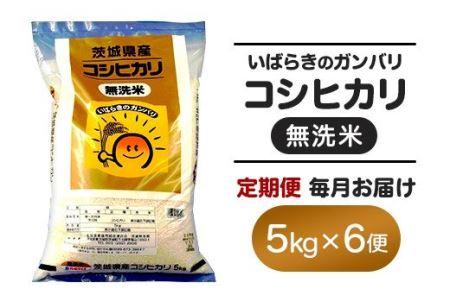 159 茨城県産無洗米コシヒカリ5kg